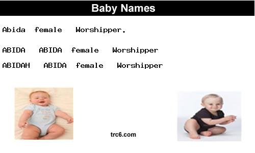 abida---abida baby names